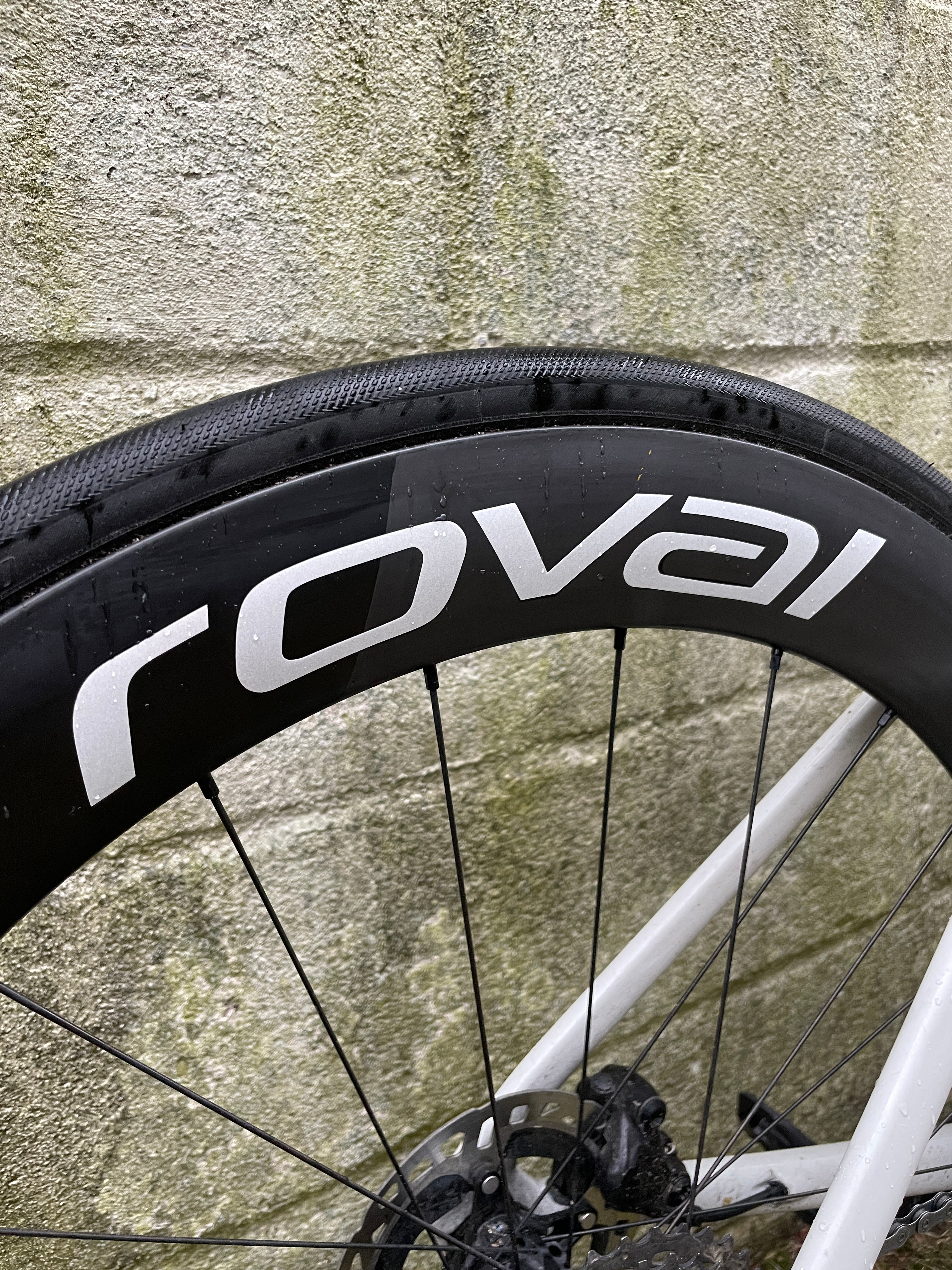 IMG_5746.jpg?v=1743418936